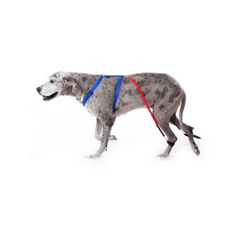 Brasards pour sytème Biko pour chiens et chats Mikan