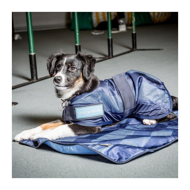 tapis rafraîchissant pour animaux Cool on Track tapis rafraîchissant pour animaux Cool on Track