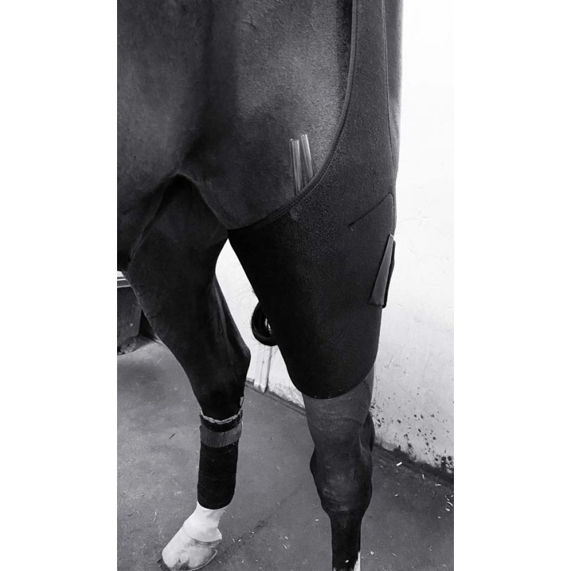 Cryothérapie compressive dynamique EASY CRYO cheval