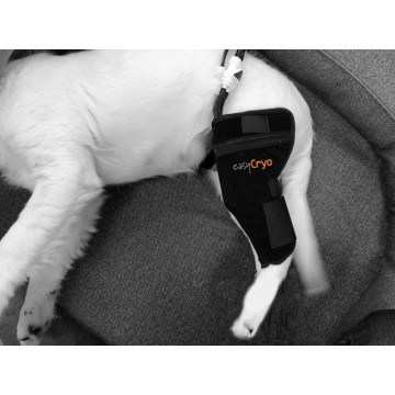 Attelle du genou compressive - canine EASY CRYO