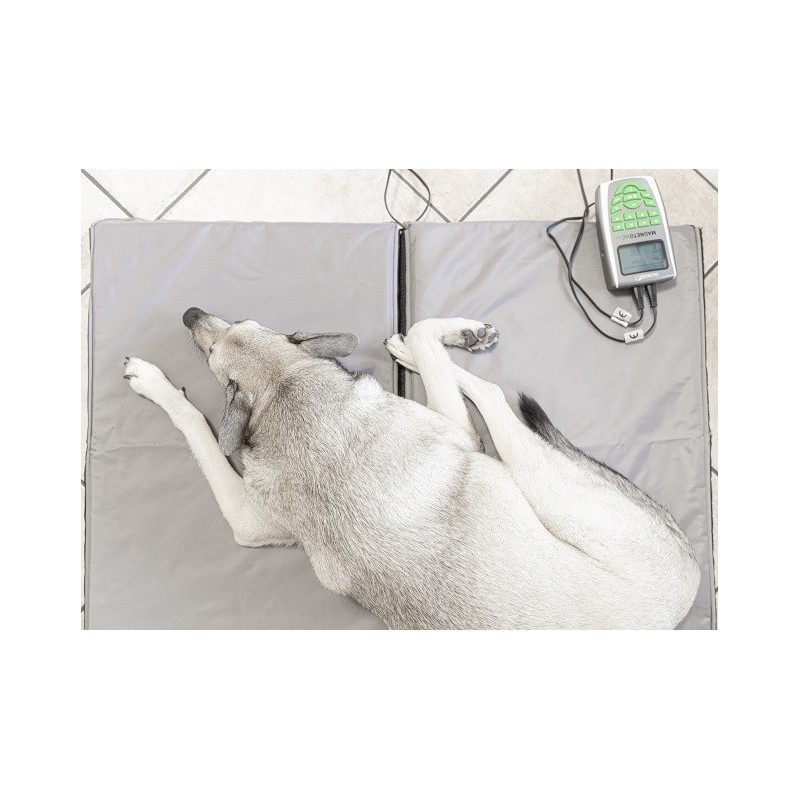 Matelas magnetique pour animaux