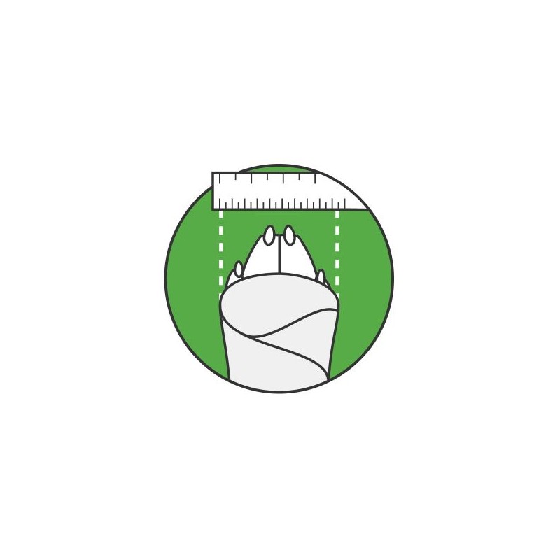 Bottines protection souple chiens et chats Medipaw