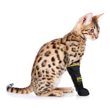 Bottines protection souple chiens et chats Medipaw