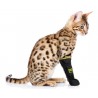 Bottines protection souple chiens et chats Medipaw