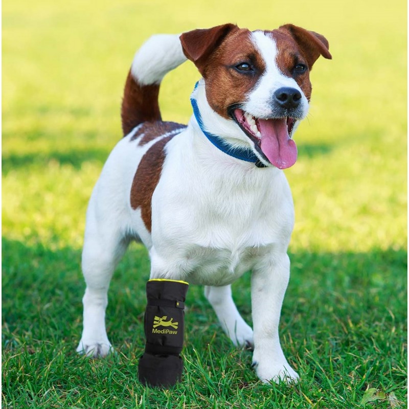 Bottines protection souple chiens et chats Medipaw