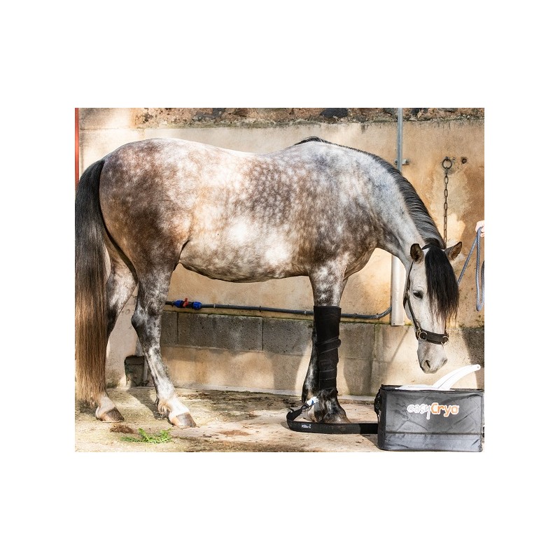 Equ'ICE PRO - Cryothérapie pour chevaux