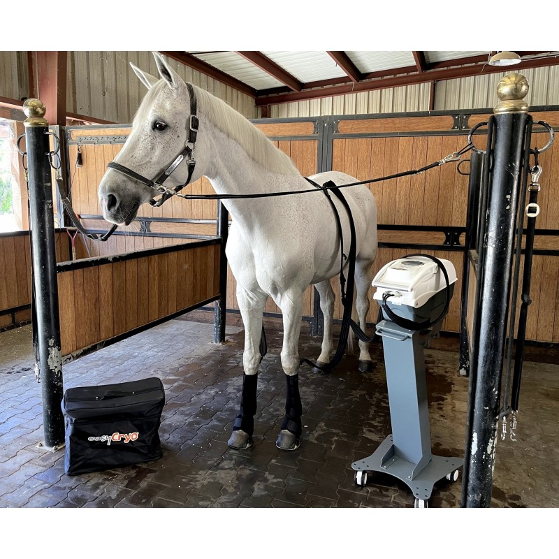 Cryothérapie compressive dynamique EASY CRYO cheval