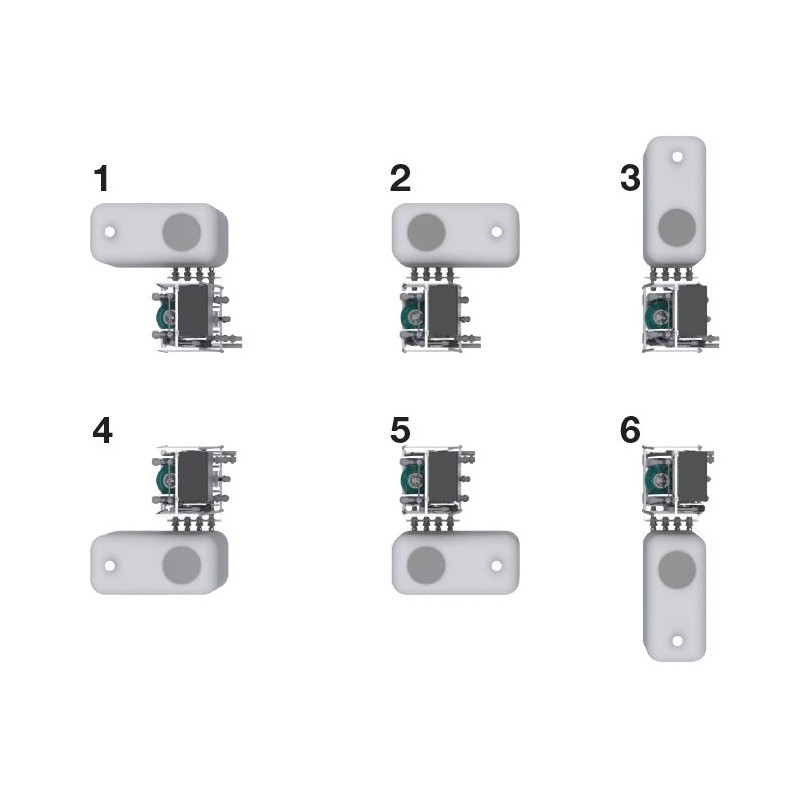 Tapis roulant immergé pour animaux Hydro Physio 5