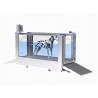 Tapis roulant immergé pour animaux Hydro Physio 5