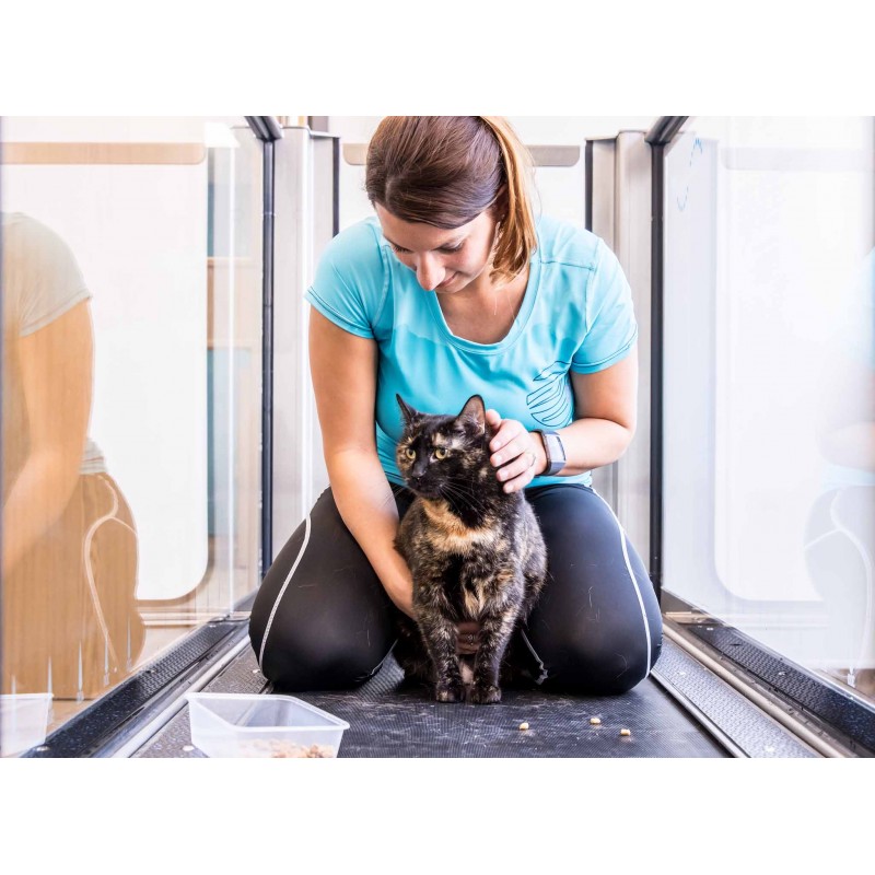 Tapis roulant immergé pour animaux Hydro Physio 5