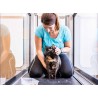 Tapis roulant immergé pour animaux Hydro Physio 5