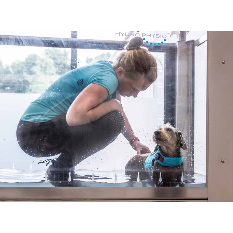 Tapis roulant immergé pour animaux Hydro Physio 5