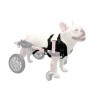Harnais avant néoprène chien chariot roulant Walkin' Wheels mikan