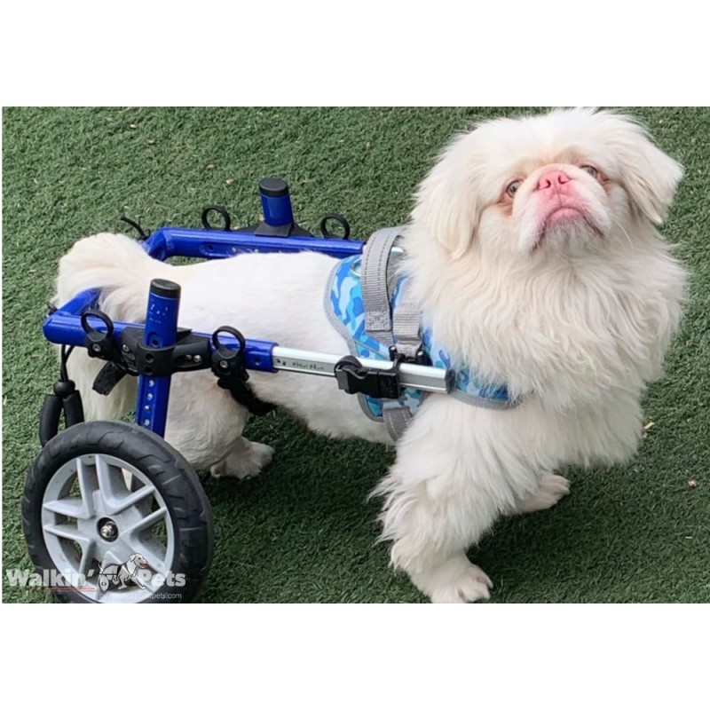 Harnais de portage pattes avant pour chien walkin'warrior