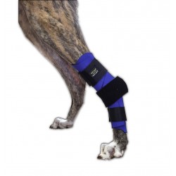 Tarsoflex Sport : attelle...