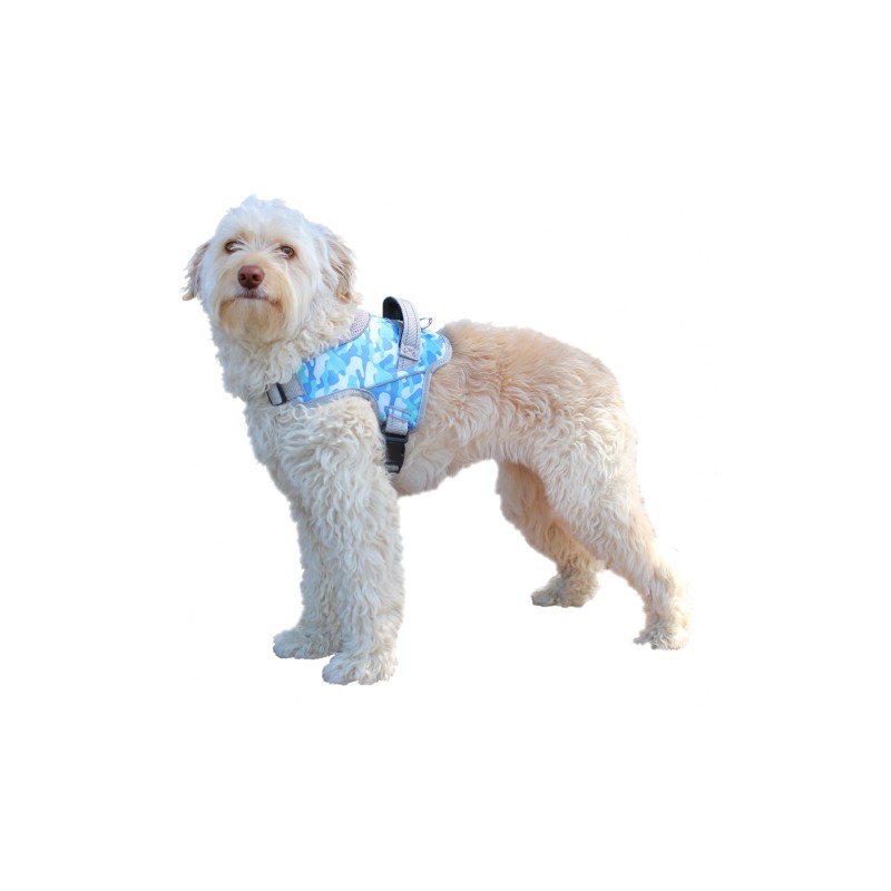 Harnais de portage pattes avant pour chien walkin'warrior