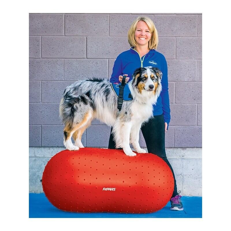Ballon cacahuète de rééducation et proprioception pour chiens
