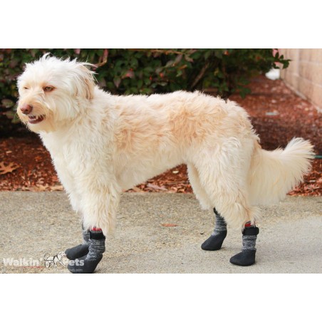 Chaussettes anti-dérapantes pour animaux Walkin'Pets