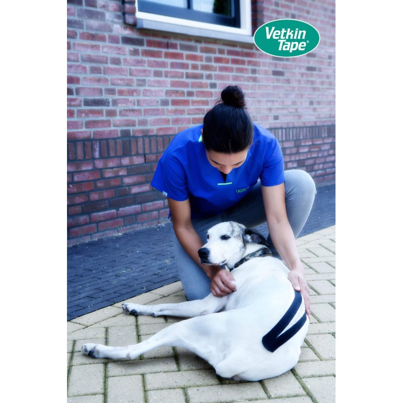 Bande Kinesio Taping VetkinTape® pour chevaux et chiens Bande Kinesio Taping VetkinTape® pour chevaux et chiens
