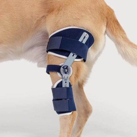 Genouillère Ou Attelle Réglable Pour Chien - Soutien Ligament Croisé Et Jambe Postérieure - Tissu Doux Et Respirant - Taille XS (tour 16-20 Cm)