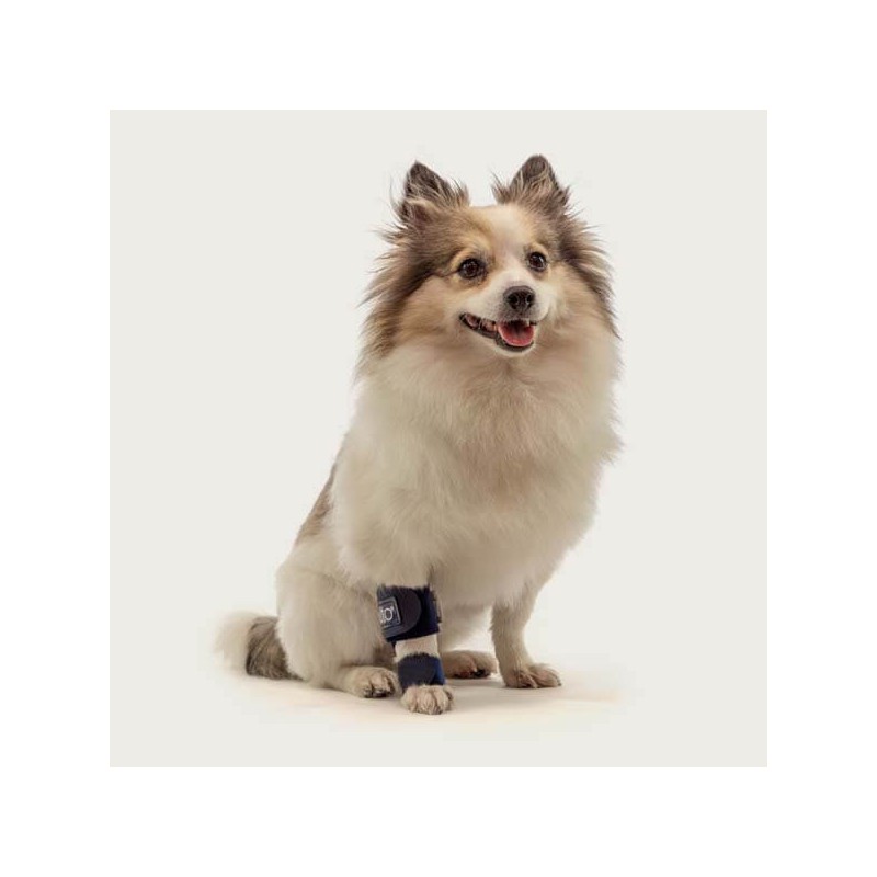 attelle-rigide-balto-avant-et-arri-re-chien-et-chat