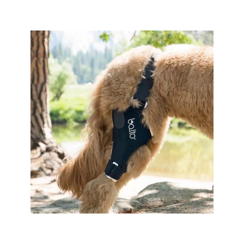 Genouillère pour animaux Balto