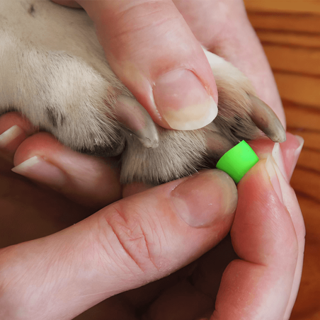 Toegrips bague antidérapante pour griffes pour chien