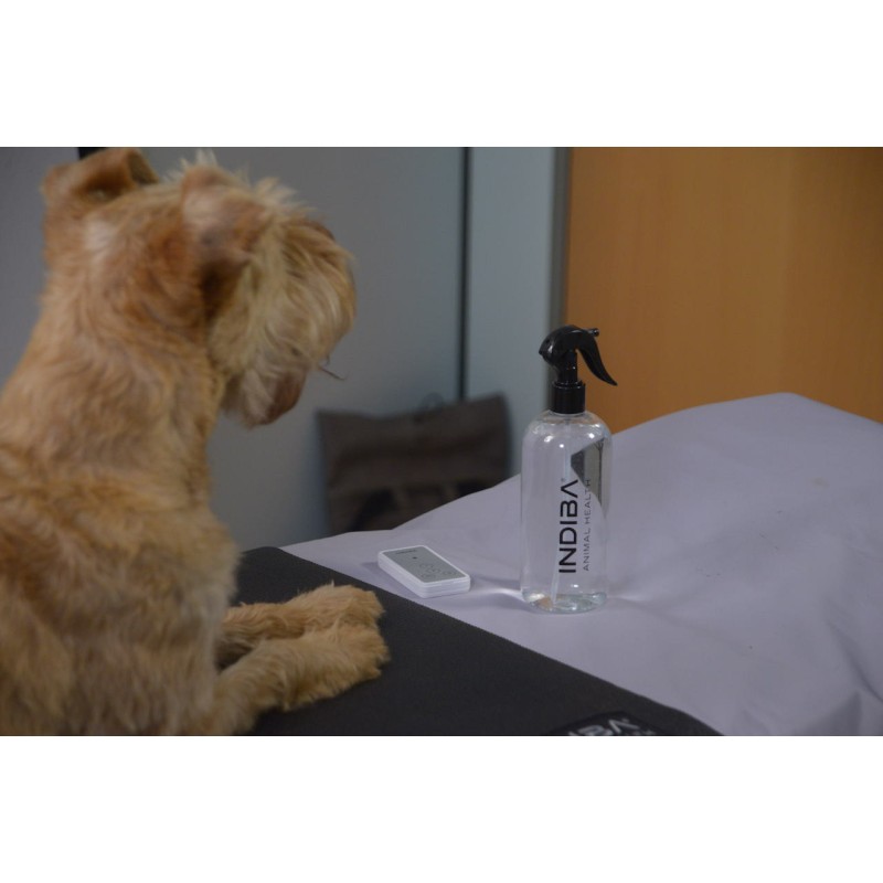 Radiofrequence-indiba-ah-100-pour-animaux-mikan