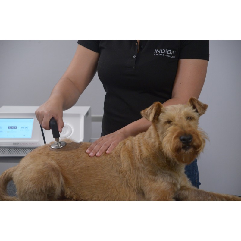 Radiofrequence-indiba-ah-100-pour-animaux-mikan