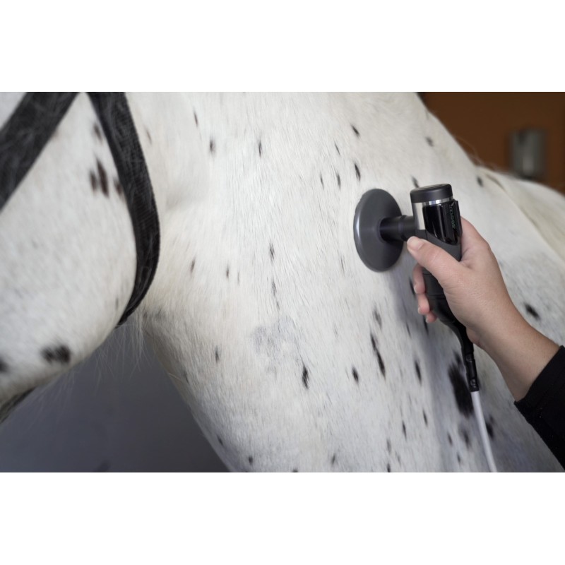 traitement-radiofrequence-cheval-indiba-equus-mikan