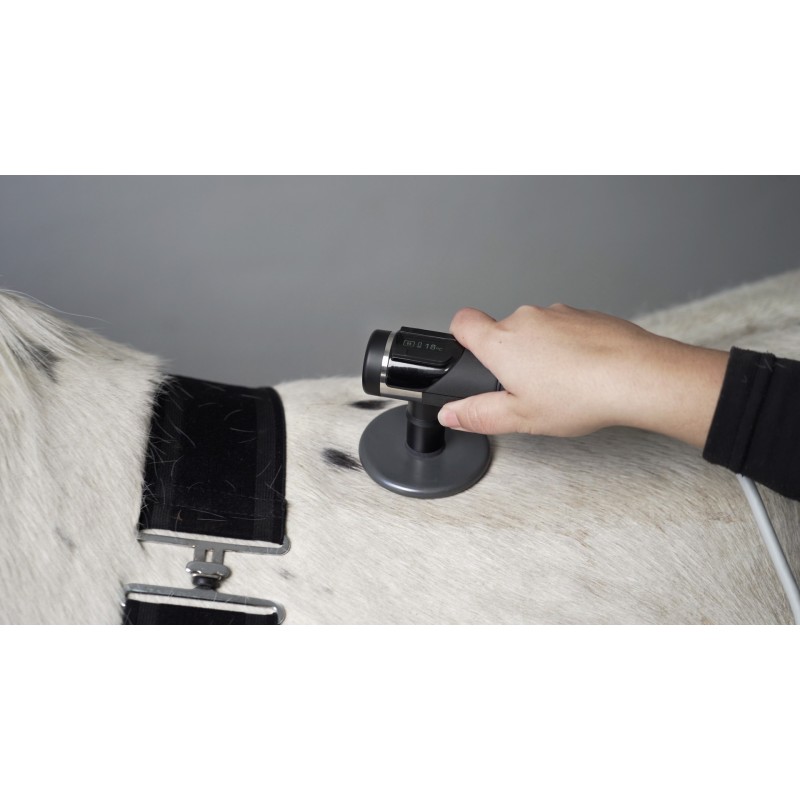 traitement-radiofrequence-cheval-indiba-equus-mikan