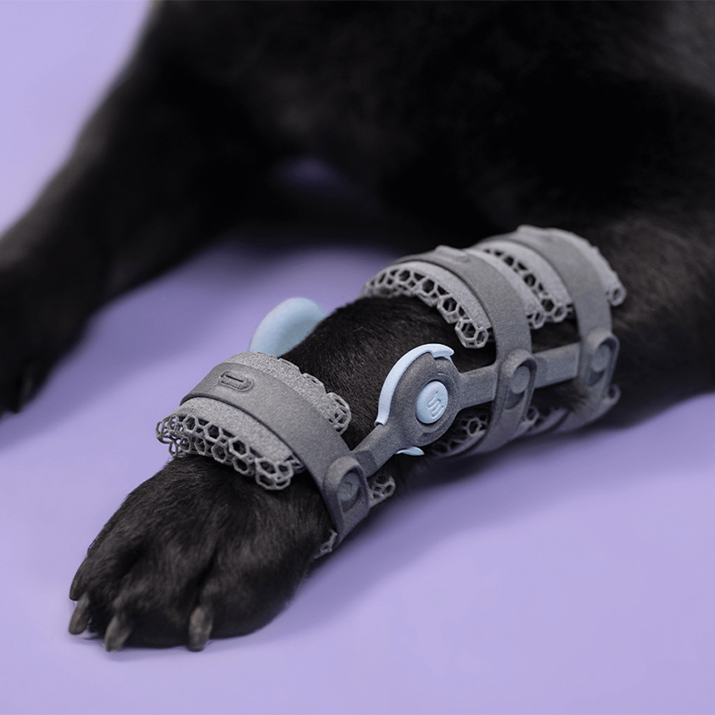 Attelle 4D articulée du carpe sur-mesure Wimba pour chiens mikan