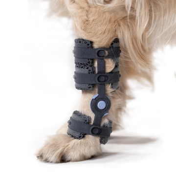 Attelle 4D articulée du carpe sur-mesure Wimba pour chiens mikan