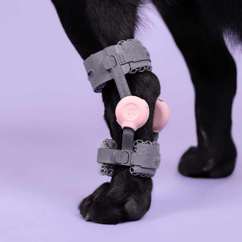 Attelle du tarse sur mesure articulée 4D Wimba