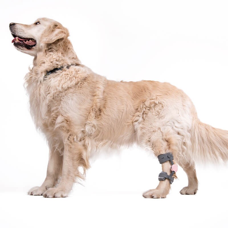 Attelle du tarse sur mesure articulée 4D Wimba