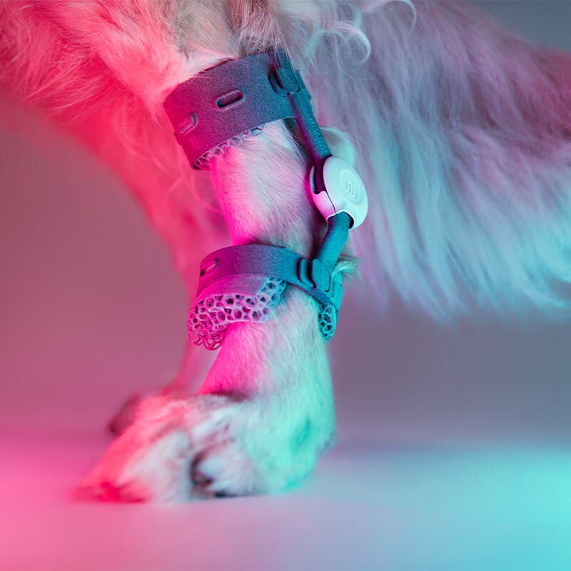 Attelle du tarse sur mesure articulée 4D Wimba