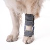 Attelle 4D articulée du carpe sur-mesure Wimba pour chiens mikan
