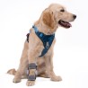 Attelle 4D articulée du carpe sur-mesure Wimba pour chiens mikan