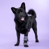 Attelle 4D articulée du carpe sur-mesure Wimba pour chiens mikan