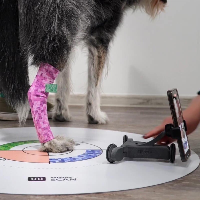 Attelle 4D articulée du carpe sur-mesure Wimba pour chiens mikan