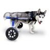 chariot roulant chien chat handicapé walkin wheels Mikan
