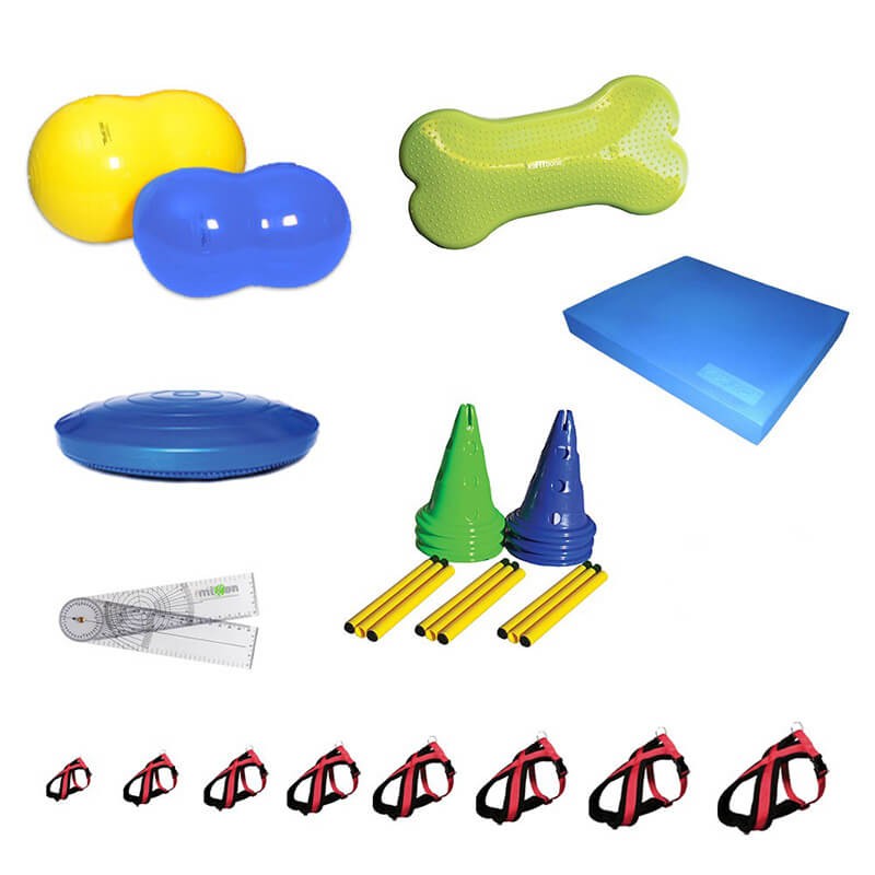 pack kiné standard mikan rééducation chiens chats vétérinaires pack kiné standard mikan rééducation chiens chats vétérinaires