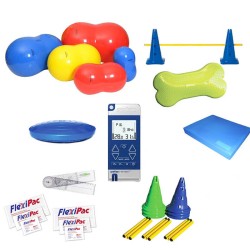 Pack kiné Electrothérapie vétérinaires pour chien chat