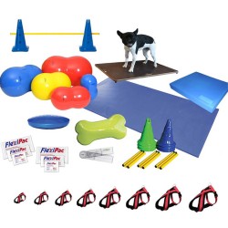 pack kiné premium mikan rééducation chiens chats vétérinaires