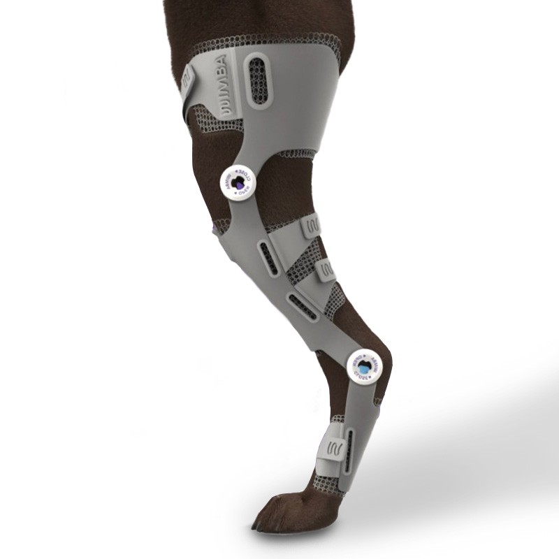 Genouillère sur mesure articulée à impression 4D Wimba® pour chien Mikan
