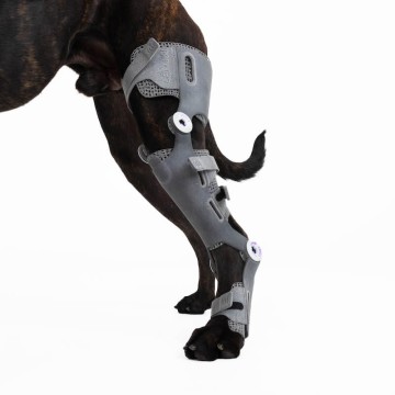 Genouillère sur mesure articulée à impression 4D Wimba® pour chien Mikan