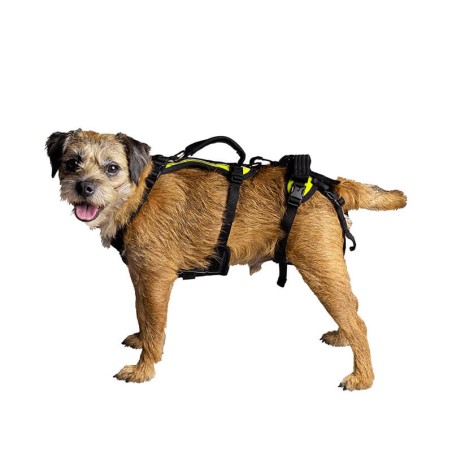 Harnais de portage résistant et ajustable pour tout le corps du chien help em up par mikan