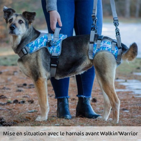 harnais de portage pattes arrière walkin'warrior pour chien, mikan