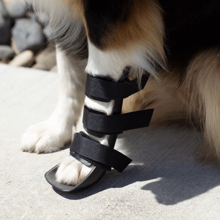 Manchon De Convalescence Pour Chien – Protection Coude/patte – Taille XL – Anti-léchage