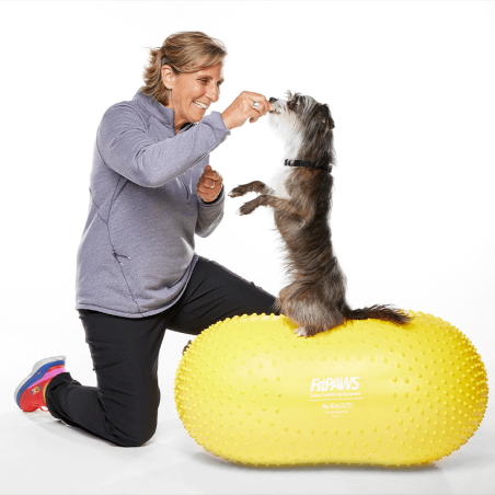 Ballon cacahuète de rééducation et proprioception pour chiens